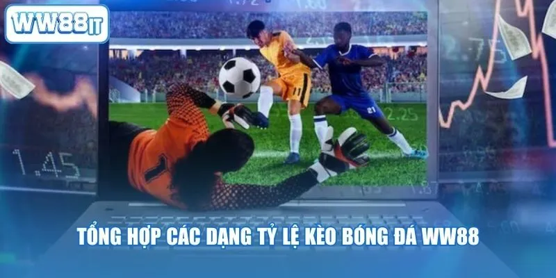 Tổng hợp các dạng tỷ lệ kèo bóng đá WW88