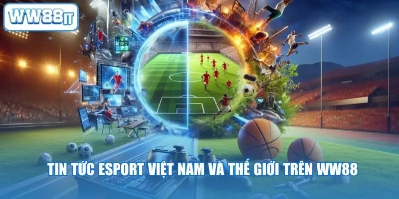 Tin tức Esport Việt Nam và thế giới trên WW88